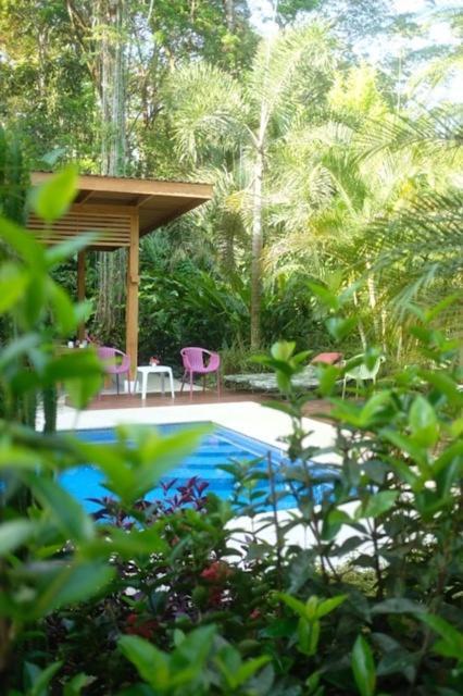 La Paz Del Caribe Adults Only Bed & Breakfast Puerto Viejo de Talamanca Exterior photo